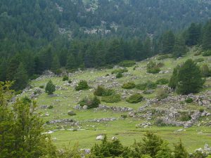 Bivouac de la vallée de la Llosa GR107